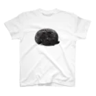 segasworksのたぶんねこ Regular Fit T-Shirt