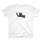 Ren_chanの寝起きの猫3 スタンダードTシャツ