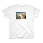 tenderdogの海風～ スタンダードTシャツ