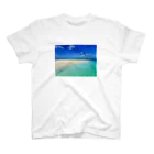 下地屋の世界の海パラオ　 Regular Fit T-Shirt