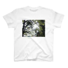 HOME-HASUの光 Regular Fit T-Shirt