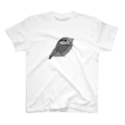 tomo0530tomo0803の文鳥のめるめ～る スタンダードTシャツ