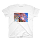 椎茸の桜 スタンダードTシャツ