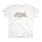 LunaのSleepy Cat2 スタンダードTシャツ