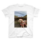 rhctjfの不機嫌な犬 スタンダードTシャツ