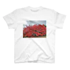 おまたparkの超紅葉 スタンダードTシャツ