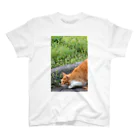 シッポ追いの猫写真店のロックオン！ スタンダードTシャツ