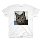 ねことらにゃんにゃん軍団のすまし顔 たぬきち Regular Fit T-Shirt