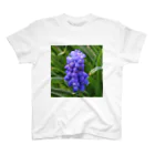 でおきしりぼ子の実験室のMuscari botryoides(1:1) スタンダードTシャツ