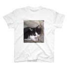 みーのお部屋 のおすまし猫 テールくん Regular Fit T-Shirt