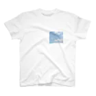 BirthMyの心の空 スタンダードTシャツ