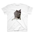 ぷぅみのホールディングねこちゃん Regular Fit T-Shirt