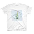 a.c.a.botanicalのTillandsia スタンダードTシャツ