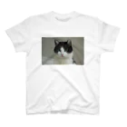 reach1994のはちわれ猫🙀さぶ Regular Fit T-Shirt
