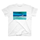 color+lifeの客観と本質 スタンダードTシャツ