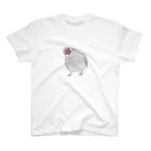 CHIYOPOPOのシルバー文鳥のくびかしげ スタンダードTシャツ