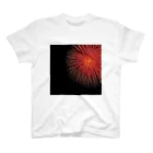 AwesomeのFireworks 2 スタンダードTシャツ