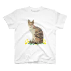 小鳥と映画館の黄色いお花と三毛猫ちゃん (イラスト) スタンダードTシャツ