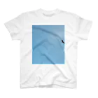 AwesomeのSky 2 スタンダードTシャツ