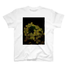 AwesomeのRape flower 9 Regular Fit T-Shirt