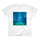 Light of the universeの瞑想の泉 Regular Fit T-Shirt