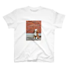 catとdogのバンクシーな犬 スタンダードTシャツ