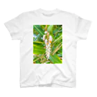 mizuphoto galleryの月桃 スタンダードTシャツ