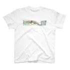 nanair_design (photo graphic)のRay series 03 光　虹色　 スタンダードTシャツ