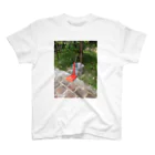 ときめきめもりあるの旅のおもひで　ベトナムの公園 Regular Fit T-Shirt