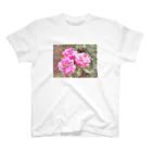 kopanの虹の世界のpink Rose スタンダードTシャツ