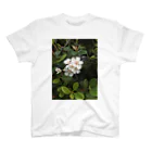 除夜の公園の花 Regular Fit T-Shirt