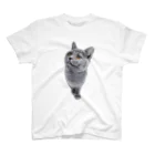 かぁこの子猫様ブリティッシュ Regular Fit T-Shirt