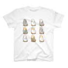 petitassortのオカメインコ集合Ｔシャツ Regular Fit T-Shirt