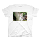 kawaii-keiのそっと様子をうかがう猫ちゃん スタンダードTシャツ