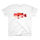 【魚類】おさかなちゃん☆図鑑の【魚類】コブダイちゃん☆瘤鯛 Regular Fit T-Shirt