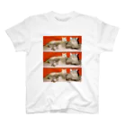 kairi nagashimaのmycats スタンダードTシャツ