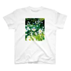 akane_art（茜音工房）の癒しの風景（シャスタデイジー） Regular Fit T-Shirt