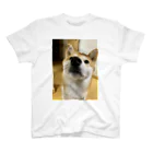 笛ガムの近犬 Regular Fit T-Shirt