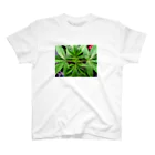 焚麻🇨🇦大麻起業家を目指すパパ大学生のテスト Regular Fit T-Shirt