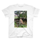 mtmoの尾道の猫ちゃん Regular Fit T-Shirt