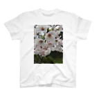 ymの桜 スタンダードTシャツ