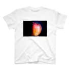 myopia hyperopiaのりんご Regular Fit T-Shirt