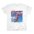 金欠ちゃんの桜！ Regular Fit T-Shirt