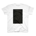 グラミーの石畳の写真 スタンダードTシャツ