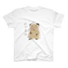 秋吉アスカのおやすみモルモットくん スタンダードTシャツ