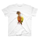 キム子商店のクイル_01（ウロコインコ） Regular Fit T-Shirt