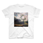 My SKYの2013.1.21 スタンダードTシャツ