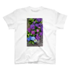 ももたんの紫陽花 Regular Fit T-Shirt