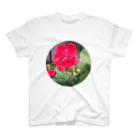 ぎんいろの星の景色　赤い花 Regular Fit T-Shirt