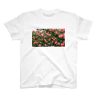 薔薇屋の群れ薔薇 スタンダードTシャツ